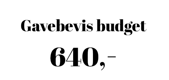 Gavebeviser budget 640