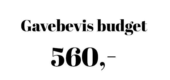 Gavebeviser budget 560