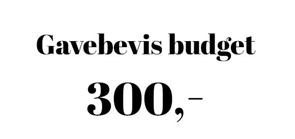 Gavebeviser budget 300