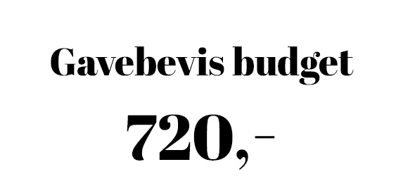 Gavebeviser budget 720