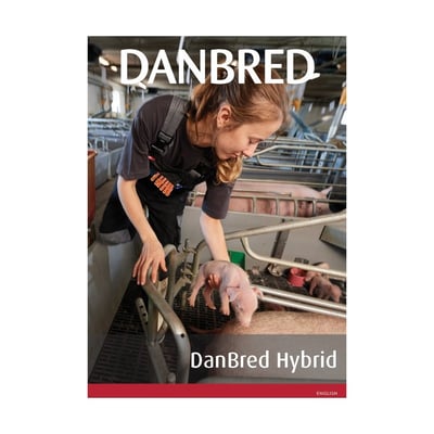 DanBred Hybrid