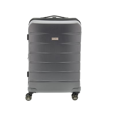 Suitcase 24"