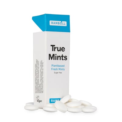 True Mints pastilles, 13g