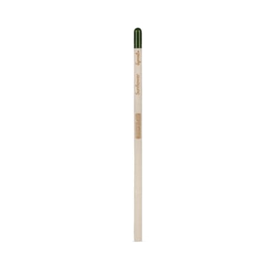 Sprout plantable Pencil